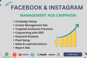 supercharge your business crafty facebook and instagram ads for leads and sales