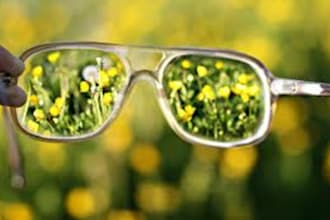 capture beautiful photos for you from nature and other titles as you request