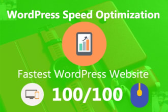 optimize wordpress speed and improve gtmetrix google, pagespeed score