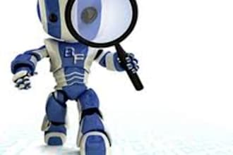 test website or test software with providing detailed bug reports