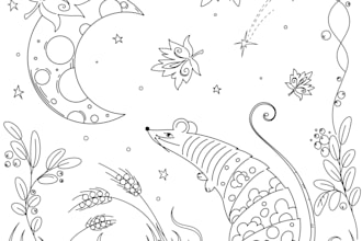 create a sketch or finished outline drawing