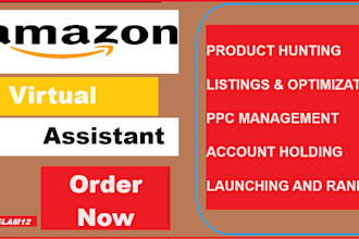 amazon fba virtual assistant amazon store store manager