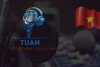 translate, record voiceover and sync to video