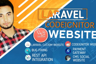 build custom laravel and codeigniter websites for you