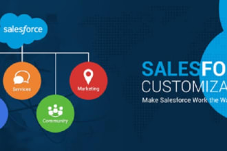 be your salesforce developer for your project