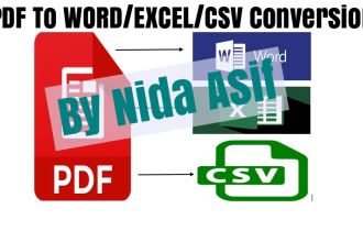 perform conversion of PDF file to word, excel and csv
