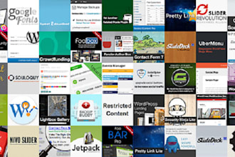 install any kind of wordpress plugin, theme and widgets