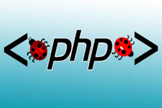 fix bugs and issues in your php web app