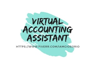 be your virtual assistant with knowledge in basic accounting