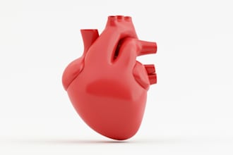 3d model and renders of anatomy or medical related objects