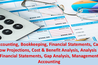 support in  company valuation, financial modeling
