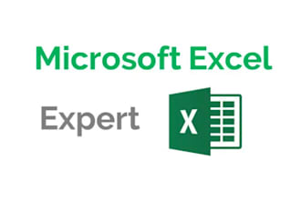 clean, organize, manipulate, and analyze your data in excel