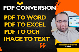 convert PDF to word, excel,jpeg and more accurate service