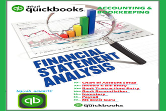 do setup, cleanup and bookkeeping in quickbooks online and ms excel