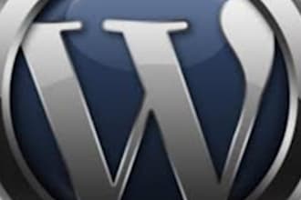 help you to fix and improve your WORDPRESS website very effectively