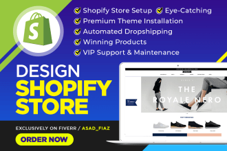 build ecommerce website shopify, dropshipping store