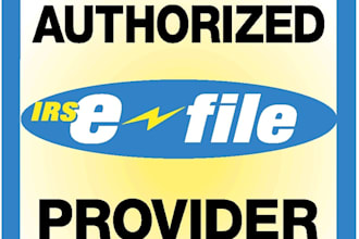 determine if you should use tax software or a tax professional to prepare your income tax returns for 2013