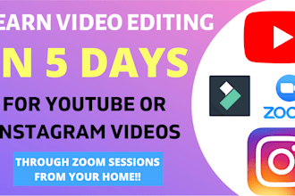 teach consult you professional video editing on any software