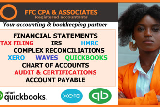 do your bookkeeping, accounting and financial statements