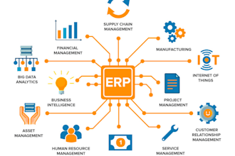 do development of erp and wires to bank systems