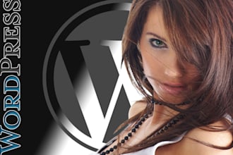 develop and design attractive website or blog on wordpress for you