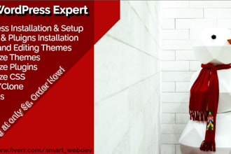 be your wordpress expert, fix wordpress error, customize site