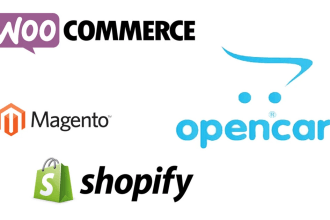 fix magento, opencart, woocommerce, shopify, wordpress error