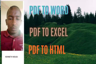 data entry and file converting
