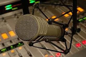 record a professional voice over for up to 60 seconds in a male voice