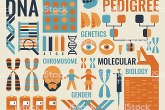 assist you in molecular biology and genetics