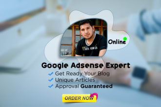 design google adsense approved niche website