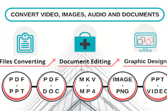 do the file conversion and data entry