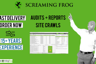 do expert screaming frog SEO audit technical report