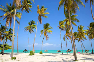 answer all your questions about zanzibar and tanzania,