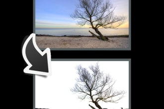 crop 3 images and Make Bacground Transparent