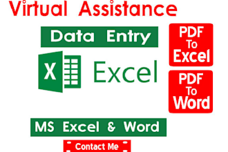 do data entry and virtual assistant for you