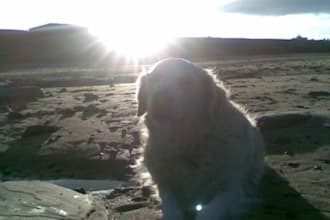 record a HQ audio file of me reading your upto 200words at a location on the English northeast coast