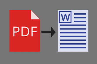 type your PDF into word