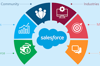 be your salesforce certified administrator developer and consultant