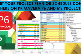 do project schedules on primavera p6 or ms project
