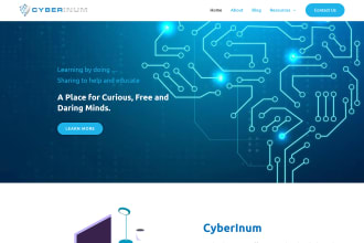 design and code custom website in html css, wordpress or wix