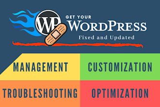 update, manage, maintain, optimize, fix wordpress website
