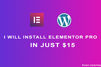 install elementor pro on your website