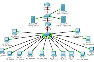 do cisco networking tasks and projects design