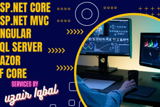 build or fix asp net mvc webapp and rest API