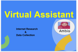 be your VA for internet research and data entry