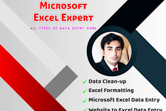 do data entry, web research, convert pdf to word, ms, excel data entry