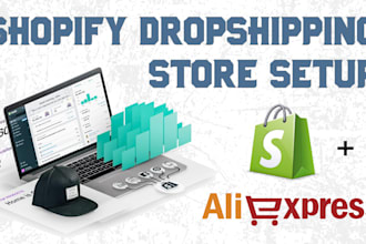 design professional shopify store