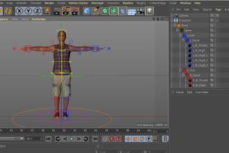 create rigs for games and computer animation