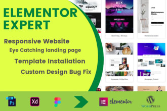 customize wordpress elementor website, landing page, psd, figma to elementor
